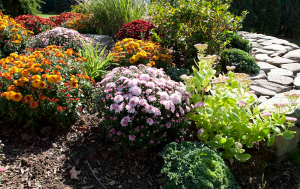 a planting bed fitted with Santa Cruz Sprinkler Repair drip irrigation