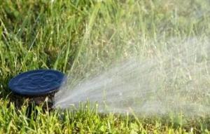 a pop up head installed by the professional Live Oak Irrigation Repair team